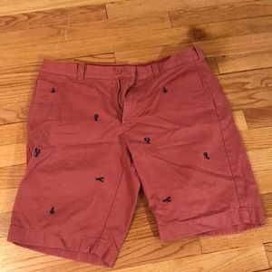 Men’s red lobster detailed shorts